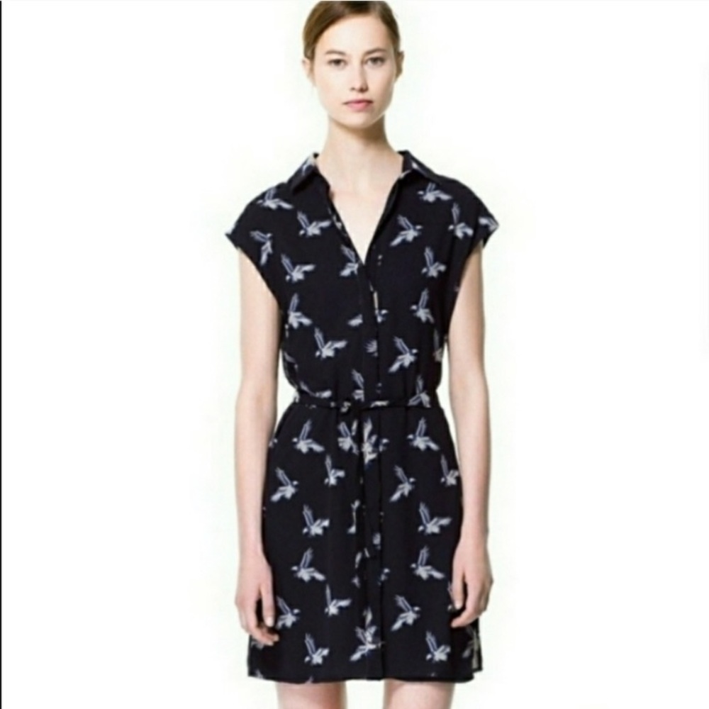 Zara Eagle Printed Shirt Dress